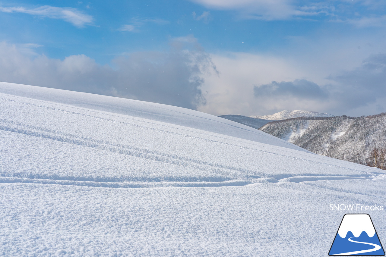 増毛町営暑寒別岳スキー場｜なんと、現在の積雪は、驚異の「280cm」！豪雪当たり年の暑寒別岳スキー場、最高です。